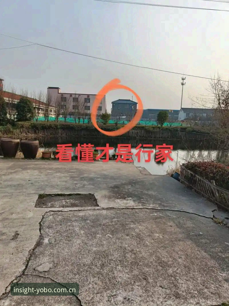 揭秘行家才看的门道CN版必备：你不看数据，就只能看热闹